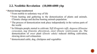 2.2. Neolithic Revolution (10,000-6000 ybp
 Human beings transformed
 From mobile to sedentary way of life
 From hunting and gathering to the domestication of plants and animals.
Climatic change and decline hunting animals population.
 The process of domestication took place independently in the various parts of
the world.
 In Ethiopia people started to cultivate Teff (Eragrotis teff), dagussa (Eleusine
coracana), nug (Guzotia abyssinica), enset (Ensete ventricosum) etc. The
domestication of enset plant (Ensete edule) reduced shifting cultivation,
slowing down soil exhaustion.
 domesticated cattle, dog, chickpeas and vegetables
 