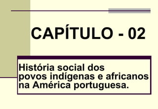 CAPÍTULO - 02
História social dos
povos indígenas e africanos
na América portuguesa.

 