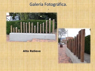 .
Galería Fotográfica.
Alto Relieve
 
