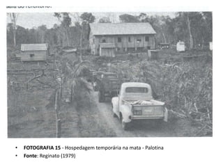• FOTOGRAFIA 15 - Hospedagem temporária na mata - Palotina
• Fonte: Reginato (1979)
 