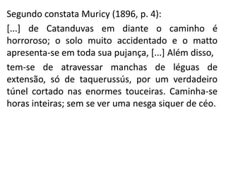 Segundo constata Muricy (1896, p. 4):
[...] de Catanduvas em diante o caminho é
horroroso; o solo muito accidentado e o matto
apresenta-se em toda sua pujança, [...] Além disso,
tem-se de atravessar manchas de léguas de
extensão, só de taquerussús, por um verdadeiro
túnel cortado nas enormes touceiras. Caminha-se
horas inteiras; sem se ver uma nesga siquer de céo.
 