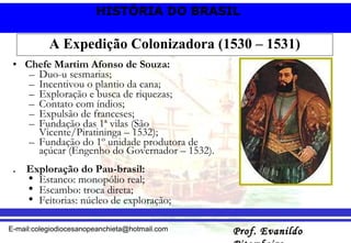 A Expedição Colonizadora (1530 – 1531) Chefe Martim Afonso de Souza: Duo-u sesmarias; Incentivou o plantio da cana; Exploração e busca de riquezas; Contato com índios; Expulsão de franceses; Fundação das 1ª vilas (São Vicente/Piratininga – 1532); Fundação do 1º unidade produtora de açúcar (Engenho do Governador – 1532). .  Exploração do Pau-brasil: Estanco: monopólio real; Escambo: troca direta; Feitorias: núcleo de exploração; 