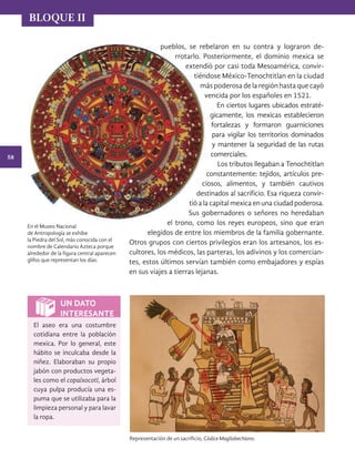 58
BLOQUE II
pueblos, se rebelaron en su contra y lograron de-
rrotarlo. Posteriormente, el dominio mexica se
extendió por casi toda Mesoamérica, convir-
tiéndose México-Tenochtitlan en la ciudad
máspoderosadelaregión hastaque cayó
vencida por los españoles en 1521.
En ciertos lugares ubicados estraté-
gicamente, los mexicas establecieron
fortalezas y formaron guarniciones
para vigilar los territorios dominados
y mantener la seguridad de las rutas
comerciales.
Los tributos llegaban a Tenochtitlan
constantemente: tejidos, artículos pre-
ciosos, alimentos, y también cautivos
destinados al sacrificio. Esa riqueza convir-
tió a la capital mexica en una ciudad poderosa.
Sus gobernadores o señores no heredaban
el trono, como los reyes europeos, sino que eran
elegidos de entre los miembros de la familia gobernante.
Otros grupos con ciertos privilegios eran los artesanos, los es-
cultores, los médicos, las parteras, los adivinos y los comercian-
tes, estos últimos servían también como embajadores y espías
en sus viajes a tierras lejanas.
En el Museo Nacional
de Antropología se exhibe
la Piedra del Sol, más conocida con el
nombre de Calendario Azteca porque
alrededor de la figura central aparecen
glifos que representan los días.
El aseo era una costumbre
cotidiana entre la población
mexica. Por lo general, este
hábito se inculcaba desde la
niñez. Elaboraban su propio
jabón con productos vegeta-
les como el copalxocotl, árbol
cuya pulpa producía una es-
puma que se utilizaba para la
limpieza personal y para lavar
la ropa.
Representación de un sacrificio, Códice Magliabechiano.
UN DATO
INTERESANTE
HIST-4-P-036-075.indd 58 11/01/19 14:13
 