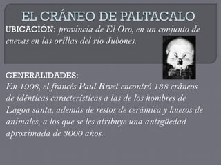 UBICACIÓN: provincia de El Oro, en un conjunto de
cuevas en las orillas del rio Jubones.


GENERALIDADES:
En 1908, el francés Paul Rivet encontró 138 cráneos
de idénticas características a las de los hombres de
Lagoa santa, además de restos de cerámica y huesos de
animales, a los que se les atribuye una antigüedad
aproximada de 3000 años.
 