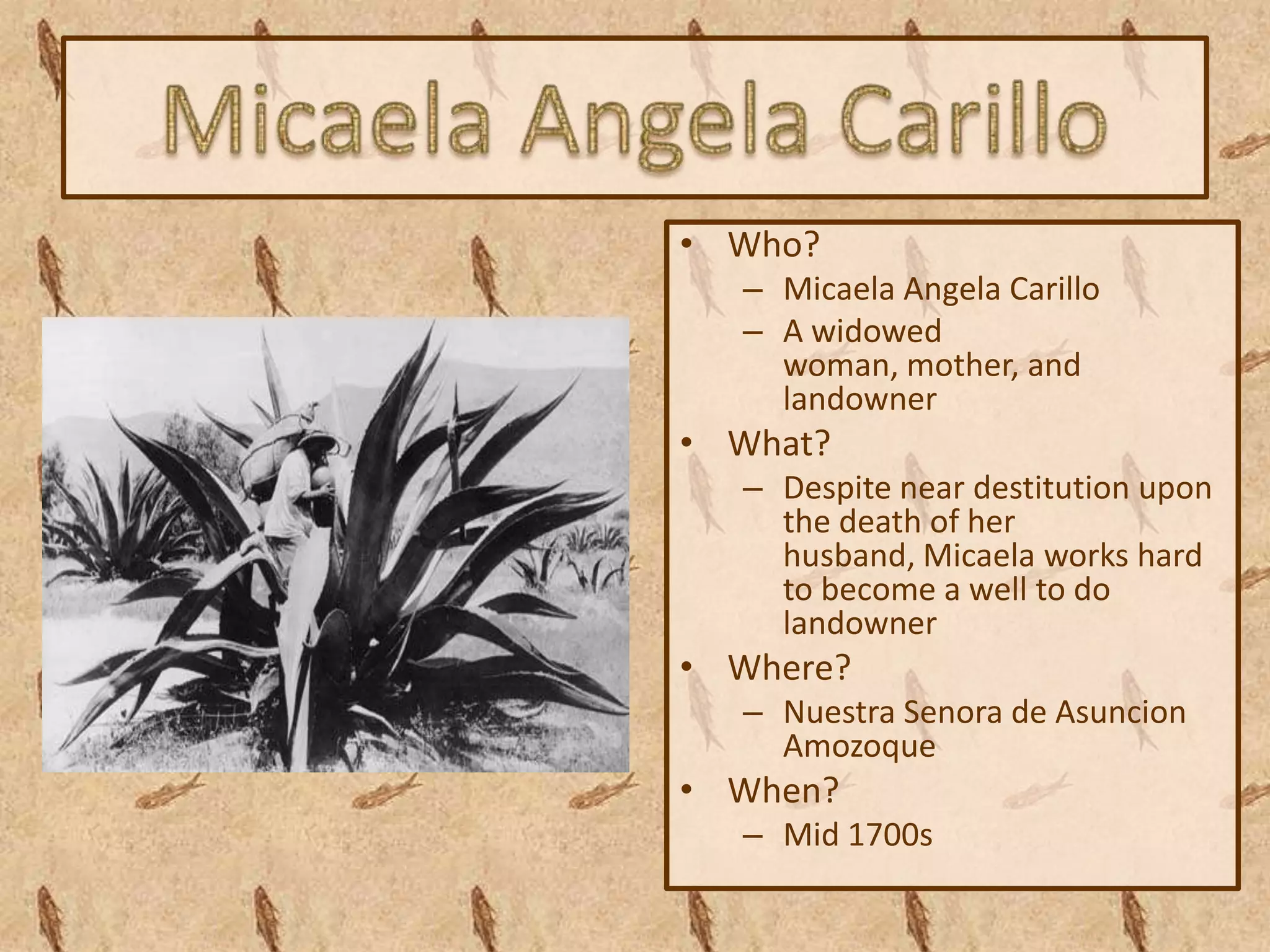 • Who?
  – Micaela Angela Carillo
  – A widowed
    woman, mother, and
    landowner
• What?
  – Despite near destitution upon
    the death of her
    husband, Micaela works hard
    to become a well to do
    landowner
• Where?
  – Nuestra Senora de Asuncion
    Amozoque
• When?
  – Mid 1700s
 