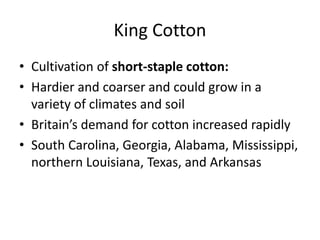 King Cotton
• Cultivation of short-staple cotton:
• Hardier and coarser and could grow in a
variety of climates and soil
• Britain’s demand for cotton increased rapidly
• South Carolina, Georgia, Alabama, Mississippi,
northern Louisiana, Texas, and Arkansas
 