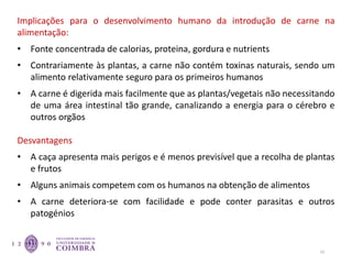 10
Implicações para o desenvolvimento humano da introdução de carne na
alimentação:
• Fonte concentrada de calorias, proteina, gordura e nutrients
• Contrariamente às plantas, a carne não contém toxinas naturais, sendo um
alimento relativamente seguro para os primeiros humanos
• A carne é digerida mais facilmente que as plantas/vegetais não necessitando
de uma área intestinal tão grande, canalizando a energia para o cérebro e
outros orgãos
Desvantagens
• A caça apresenta mais perigos e é menos previsível que a recolha de plantas
e frutos
• Alguns animais competem com os humanos na obtenção de alimentos
• A carne deteriora-se com facilidade e pode conter parasitas e outros
patogénios
 