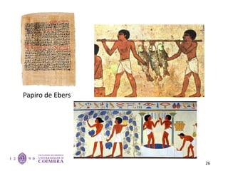 Papiro de Ebers
26
 