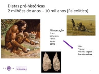 Dietas pré-históricas
2 milhões de anos – 10 mil anos (Paleolítico)
9
Alimentação:
Fruta
Sementes
Folhas
Nozes
Carne
Fibra
Frutose
Proteína vegetal
Proteína animal
 