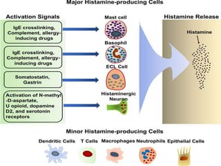 (Autocoids) Histamine Pharmacology ppt | PPTX