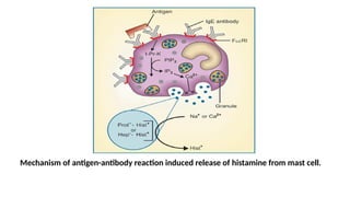 Mechanism of antigen-antibody reaction induced release of histamine from mast cell.
 