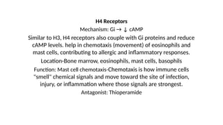 H4 Receptors
Mechanism: Gi → ↓ cAMP
Similar to H3, H4 receptors also couple with Gi proteins and reduce
cAMP levels. help in chemotaxis (movement) of eosinophils and
mast cells, contributing to allergic and inflammatory responses.
Location-Bone marrow, eosinophils, mast cells, basophils
Function: Mast cell chemotaxis-Chemotaxis is how immune cells
"smell" chemical signals and move toward the site of infection,
injury, or inflammation where those signals are strongest.
Antagonist: Thioperamide
 