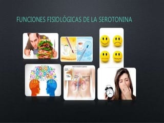 Histamina y serotonina