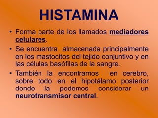 HISTAMINA
• Forma parte de los llamados mediadores
celulares.
• Se encuentra almacenada principalmente
en los mastocitos del tejido conjuntivo y en
las células basófilas de la sangre.
• También la encontramos en cerebro,
sobre todo en el hipotálamo posterior
donde la podemos considerar un
neurotransmisor central.
 