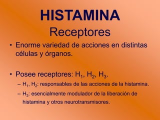 Receptores
• Enorme variedad de acciones en distintas
células y órganos.
• Posee receptores: H1, H2, H3.
– H1, H2: responsables de las acciones de la histamina.
– H3: esencialmente modulador de la liberación de
histamina y otros neurotransmisores.
HISTAMINA
 