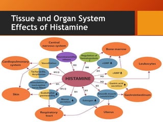 Tissue and Organ System
Effects of Histamine
 