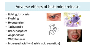 Adverse effects of histamine release
• Itching, Urticaria
• Flushing
• Hypotension
• Tachycardia
• Bronchospasm
• Angioedema
• Wakefullness
• Increased acidity (Gastric acid secretion)
 