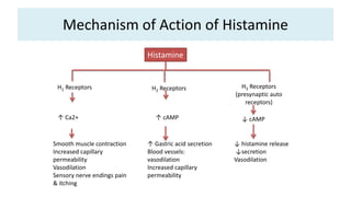 Mechanism of Action of Histamine
Histamine
H1 Receptors H2 Receptors H3 Receptors
(presynaptic auto
receptors)
↑ Ca2+
Smooth muscle contraction
Increased capillary
permeability
Vasodilation
Sensory nerve endings pain
& itching
↑ cAMP
↑ Gastric acid secretion
Blood vessels:
vasodilation
Increased capillary
permeability
↓ histamine release
↓secretion
Vasodilation
↓ cAMP
 