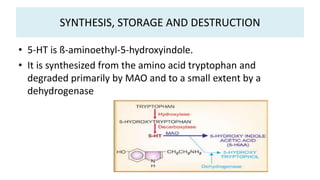 SYNTHESIS, STORAGE AND DESTRUCTION
• 5-HT is ß-aminoethyl-5-hydroxyindole.
• It is synthesized from the amino acid tryptophan and
degraded primarily by MAO and to a small extent by a
dehydrogenase
 