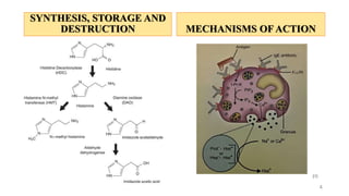 SYNTHESIS, STORAGE AND
DESTRUCTION MECHANISMS OF ACTION
4
[1]
 