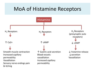 MoA of Histamine Receptors
Histamine
H1 Receptors H2 Receptors H3 Receptors
(presynaptic auto
receptors)
↑ Ca2+
Smooth muscle contraction
Increased capillary
permeability
Vasodilation
Sensory nerve endings pain
& itching
↑ cAMP
↑ Gastric acid secretion
Blood vessels:
vasodilation
Increased capillary
permeability
↓ histamine release
↓secretion
Vasodilation
↓ cAMP
 