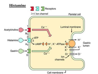 Histamine
 