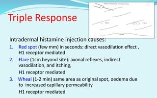 Histamine and antihistamine drugs | PPTX