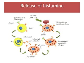 9
Release of histamine
 
