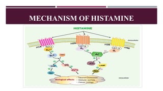HISTAMINE AND ANTIHISTAMINICS DRUGS.pptx