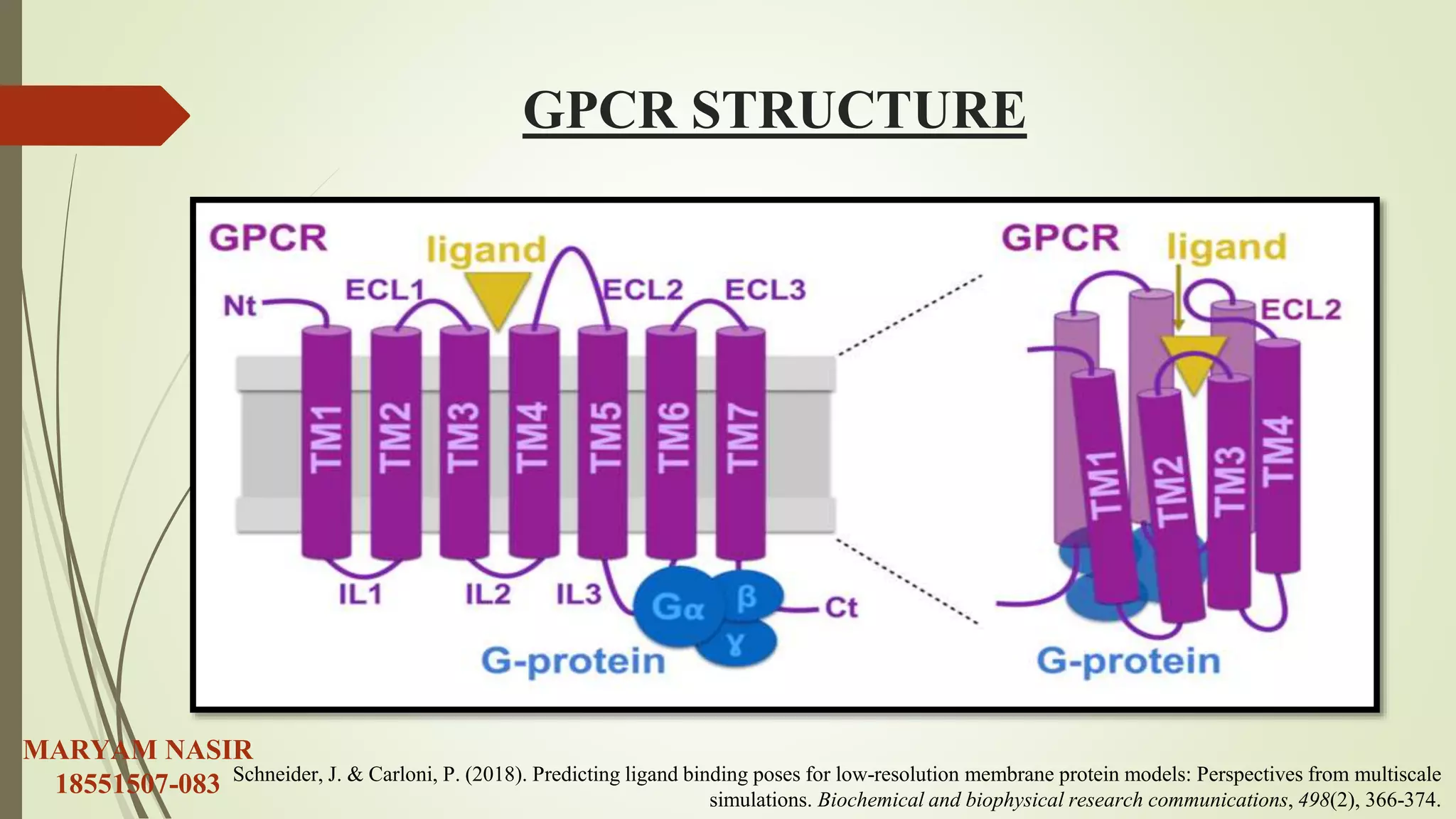 histamine receptors and histamine intolerance.pptx