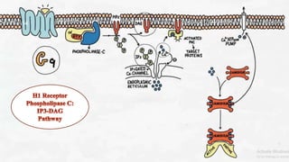 histamine receptors and histamine intolerance.pptx