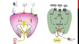 Histamines and antihistamine pharmacology | PPTX