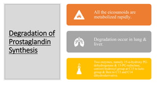 Degradation of
Prostaglandin
Synthesis
All the eicosanoids are
metabolized rapidly.
Degradation occur in lung &
liver.
Two enzymes, namely 15-α-hydroxy PG
dehydrogenase & 13-PG reductase,
convert hydroxyl group at C15 to keto
group & then to C13 and C14
dihydroderivative.
 