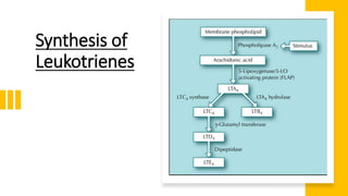 Synthesis of
Leukotrienes
 