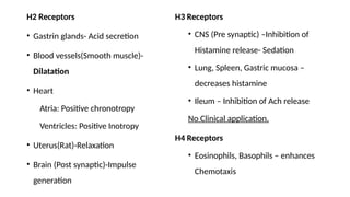 H2 Receptors
• Gastrin glands- Acid secretion
• Blood vessels(Smooth muscle)-
Dilatation
• Heart
Atria: Positive chronotropy
Ventricles: Positive Inotropy
• Uterus(Rat)-Relaxation
• Brain (Post synaptic)-Impulse
generation
H3 Receptors
• CNS (Pre synaptic) –Inhibition of
Histamine release- Sedation
• Lung, Spleen, Gastric mucosa –
decreases histamine
• Ileum – Inhibition of Ach release
No Clinical application.
H4 Receptors
• Eosinophils, Basophils – enhances
Chemotaxis
 