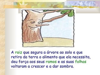 A raiz que segura a árvore ao solo e que
retira da terra o alimento que ela necessita,
deu força aos seus ramos e as suas folhas
voltaram a crescer e a dar sombra.

 
