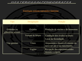 HISTEROSSALPINGOGRAFIA Fisiologia sistema reprodutor feminino Alojamento e desenvolvimento do novo ser até o seu nascimento. Útero Vias genitais Condução dos óvulos ao útero: Local da fecundação. Trompas de falópio Recepção dos espermatozóides durante a cópula. Vagina Produção de oócitos e de hormonas. Ovários Gônodas ou glândulas sexuais Função Designação Tipo 