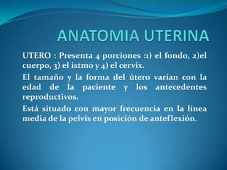 UTERO : Presenta 4 porciones :1) el fondo, 2)el
cuerpo, 3) el istmo y 4) el cervix.
El tamaño y la forma del útero varían con la
edad de la paciente y los antecedentes
reproductivos.
Está situado con mayor frecuencia en la línea
media de la pelvis en posición de anteflexión.

 
