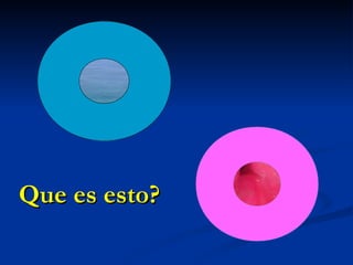 Que es esto? 