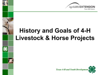 History and Goals of 4-H Livestock & Horse Projects Texas 4-H and Youth Development 