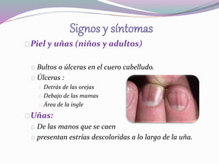 Piel y uñas (niños y adultos) 
Bultos o úlceras en el cuero cabelludo. 
Úlceras : 
Detrás de las orejas 
Debajo de las mamas 
Área de la ingle 
Uñas: 
De las manos que se caen 
presentan estrías descoloridas a lo largo de la uña. 
 