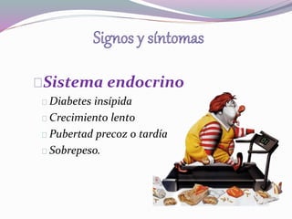 Sistema endocrino 
Diabetes insípida 
Crecimiento lento 
Pubertad precoz o tardía 
Sobrepeso. 
 