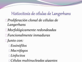 Proliferación clonal de células de 
Langerhans 
Morfológicamente redondeadas 
Funcionalmente inmaduras 
Junto con: 
Eosinófilos 
Macrófagos 
Linfocitos 
Células multinucleadas gigantes 
 