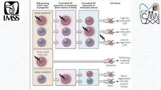 Decs Classification Comprehensive Overview of Langerhans Cell Histiocytosis: Diagnosis ...