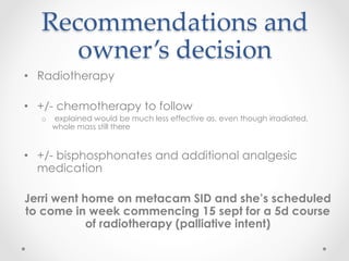 Recommendations  and  
owner’s  decision	
•  Radiotherapy
•  +/- chemotherapy to follow
o  explained would be much less effective as, even though irradiated,
whole mass still there
•  +/- bisphosphonates and additional analgesic
medication
Jerri went home on metacam SID and she’s scheduled
to come in week commencing 15 sept for a 5d course
of radiotherapy (palliative intent)
 