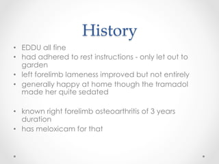 History	
•  EDDU all fine
•  had adhered to rest instructions - only let out to
garden
•  left forelimb lameness improved but not entirely
•  generally happy at home though the tramadol
made her quite sedated
•  known right forelimb osteoarthritis of 3 years
duration
•  has meloxicam for that
 