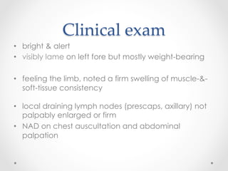 Clinical  exam	
•  bright & alert
•  visibly lame on left fore but mostly weight-bearing
•  feeling the limb, noted a firm swelling of muscle-&-
soft-tissue consistency
•  local draining lymph nodes (prescaps, axillary) not
palpably enlarged or firm
•  NAD on chest auscultation and abdominal
palpation
 