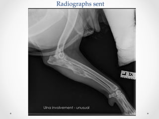 Radiographs  sent	
Ulna involvement - unusual
 