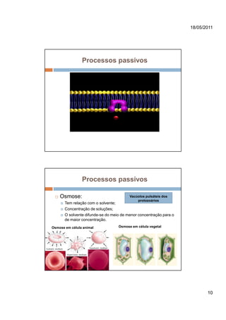 18/05/2011




                Processos passivos




                Processos passivos

    Osmose:                              Vacúolos pulsáteis dos
                                             protozoários
       Tem relação com o solvente;
       Concentração de soluções;
       O solvente difunde-se do meio de menor concentração para o
       de maior concentração.
Osmose em célula animal            Osmose em célula vegetal




                                                                           10
 