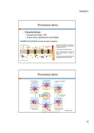 18/05/2011




                    Processo ativo

     Características:
       Há gasto de energia – ATP
       Ocorre contra o gradiente de concentração

EXEMPLO CLÁSSICO: bomba de sódio e potássio
                                              Maior concentração de k+ intracelular e
                                            de Na+ fora da célula é fundamental para
                                            o metabolismo celular;

                                              Manutenção do equilíbrio osmótico;

                                              Alta concentração de K+ dentro da
                                            célula – síntese protéica e etapas da
                                            respiração;

                                               A bomba proporciona uma produção da
                                            diferença de potencial da membrana.




                    Processo ativo




                                                                Processo Ativo




                                                                                               12
 